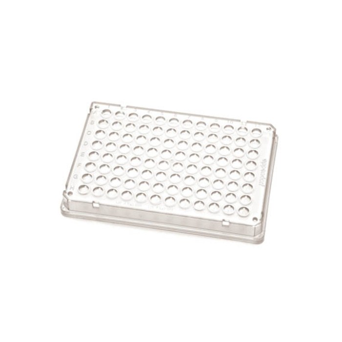 Eppendorf twin.tec 96孔PCR板 0.15ml 全裙边 透明