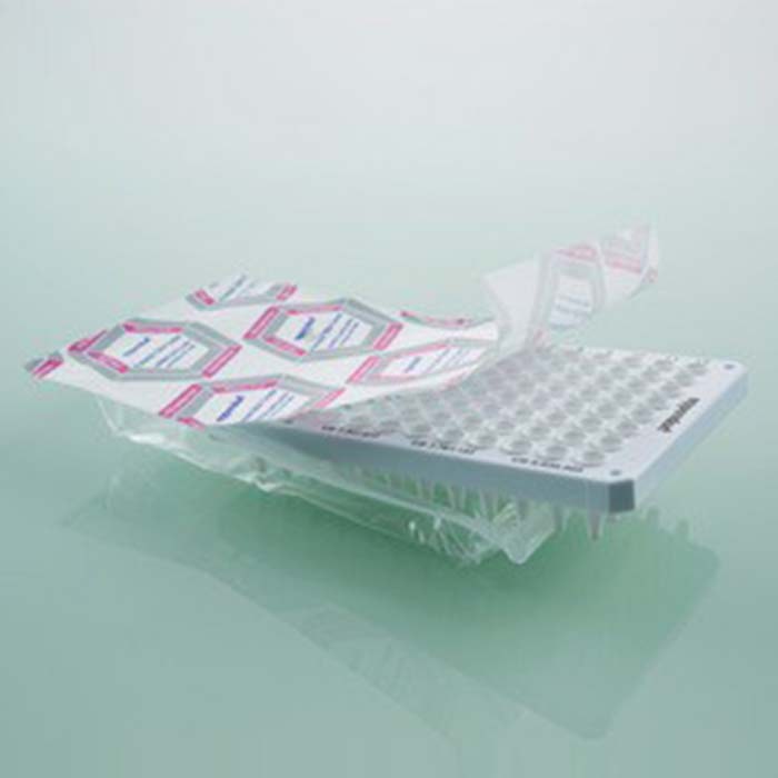 Eppendorf twin.tec 荧光定量96孔PCR板 0.25ml 全裙边 白色 法医DNA级 独立包装