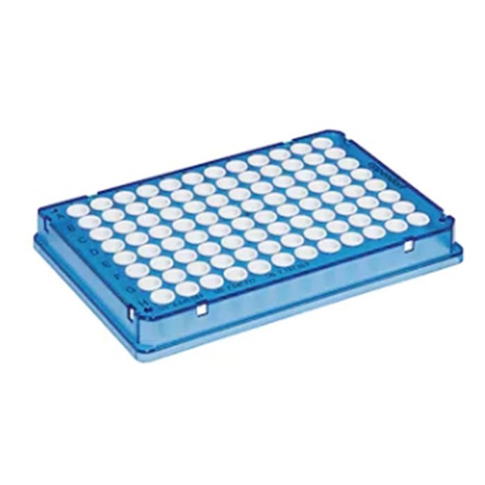 Eppendorf twin.tec 荧光定量96孔PCR板 0.15ml 全裙边 白色孔蓝边