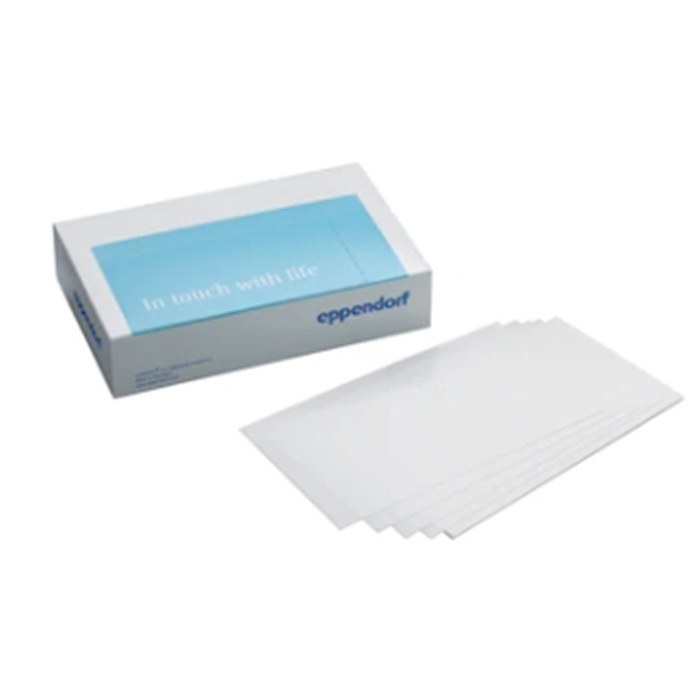 Masterclear定量PCR粘性膜, 100片 - Eppendorf/艾本德