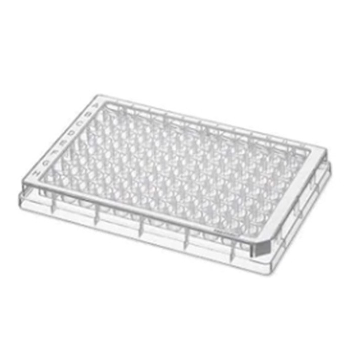 96孔/V-PP微孔板, 无色孔井, 白色边框, PCR洁净级, 80块 (5x16块) - Eppendorf/艾本德