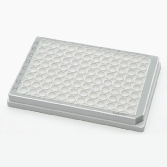 96孔/U-PP微孔板, 白色孔井, 灰色边框, PCR洁净级, 80块 (5x16块) - Eppendorf