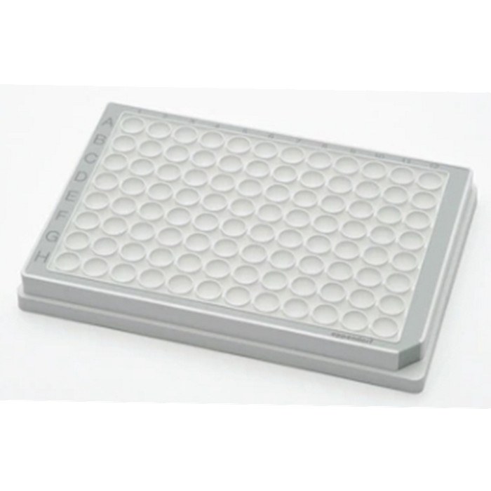96孔/V-PP微孔板, 白色孔井, 灰色边框, PCR洁净级, 80块 (5x16块) - Eppendorf/艾本德