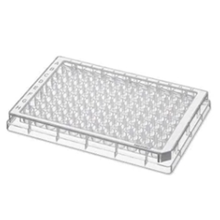 96孔/U-PP微孔板, 无色孔井, 白色边框, 无菌级, 80块 (5x16块) - Eppendorf