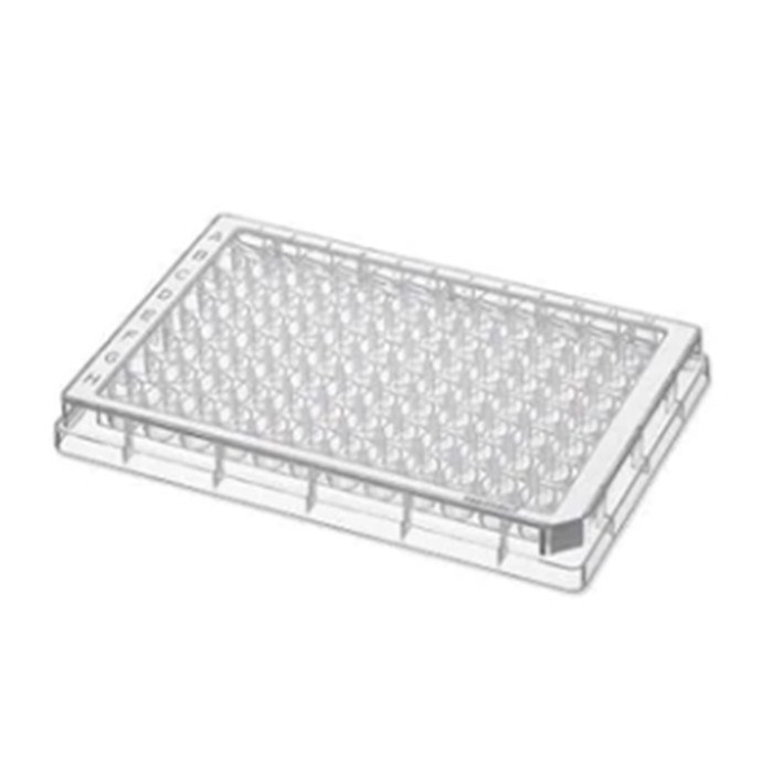 96孔/V-PP微孔板, 无色孔井, 白色边框, 无菌级, 80块 (5x16块) - Eppendorf