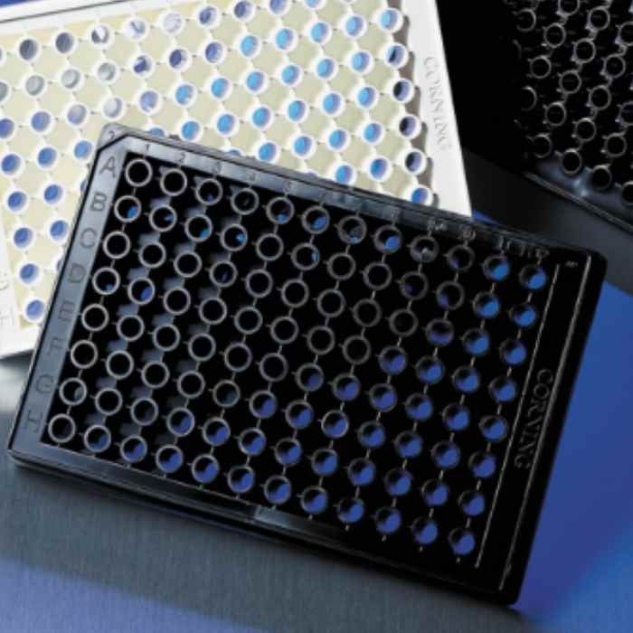 Corning 96孔半量透明平底黑色聚苯乙烯微孔板，经TC处理，25个/袋，不带盖，无菌
