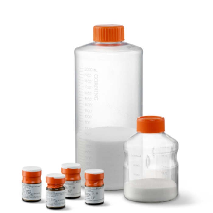 Corning 胶原包被微载体，10g管装 - Corning/康宁