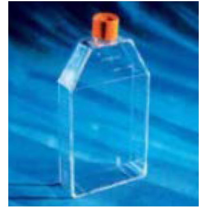 Corning 150cm&sup2; U形斜颈细胞培养瓶，未处理，带透气盖 - Corning/康宁