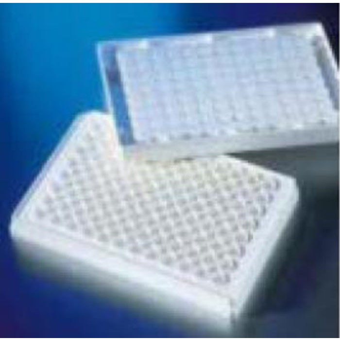 Corning FiltrEX 96孔白色过滤板，0.25 mm厚玻璃纤维滤膜，非灭菌
