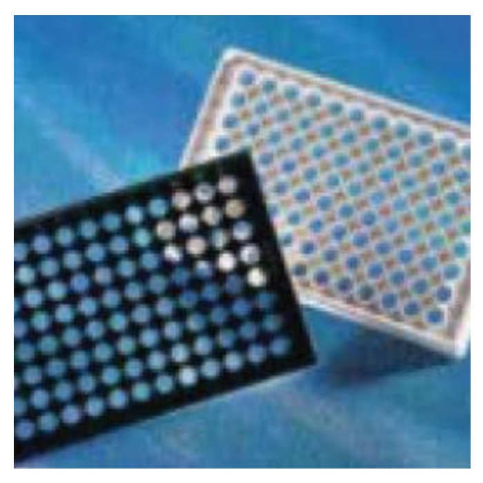 Corning 96孔半量白色/透明平底聚苯乙烯NBS微孔板，5个/袋，不带盖，非灭菌 - Corning/康宁