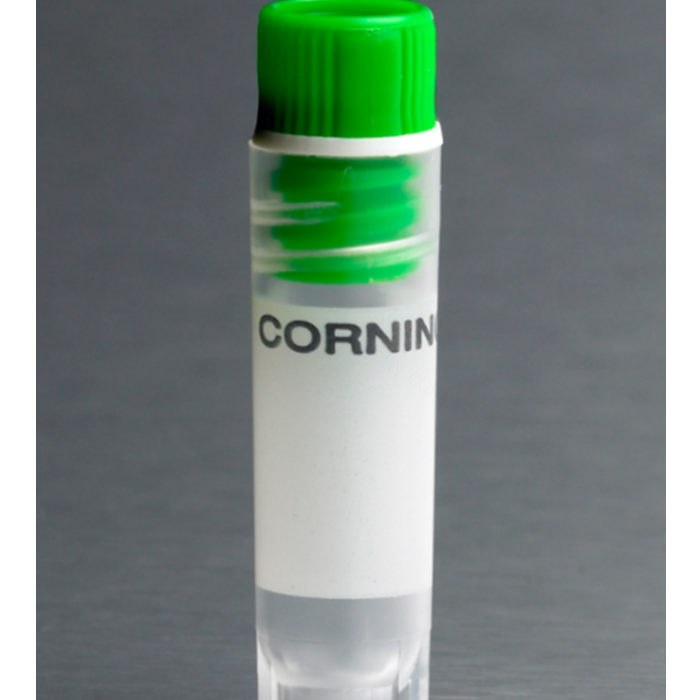 Corning 2 mL绿色盖内旋聚丙烯冻存管，自立式，圆底 - Corning/康宁