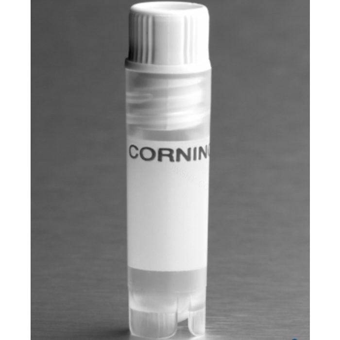 Corning 2 mL白色盖内旋聚丙烯冻存管，自立式，圆底 - Corning/康宁