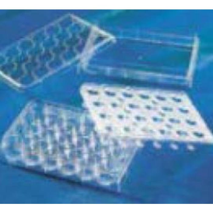 Corning HTS Transwell-24透明 接收板，未处理，无菌