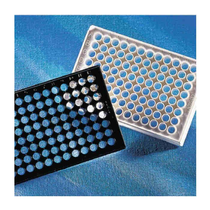 Corning 96孔特殊光学透明平底黑色聚苯乙烯微孔板，经TC处理，25块/袋，不带盖，无菌 - Corning/康宁