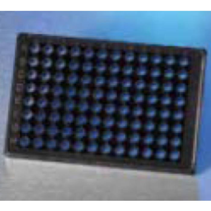 Corning 96孔半量高内涵成像玻璃底微孔板，带盖 - Corning/康宁