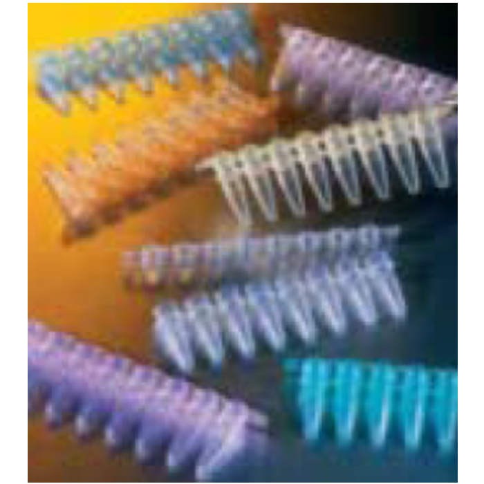 Corning Thermowell GOLD PCR 1 x 8联排管盖，圆顶，混色