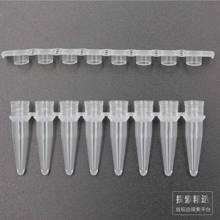 PCR 8联管&amp;盖，200 &mu;l，PP，本色，磨砂平盖，带编号管身，灭菌，无DNA酶、 RNA酶 生工