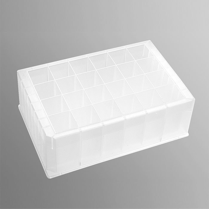 Axygen 24孔透明V形底10 mL聚丙烯长方形孔深孔板，5块/包，非灭菌