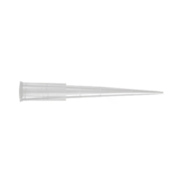 Axygen 200 µL 低吸附 通用移液器吸头,斜尖,带刻度,透明,非灭菌,多层盒装