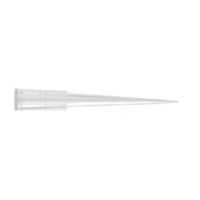 Axygen 200 µL 低吸附 通用移液器吸头,斜尖,透明,非灭菌,多层吸头盒