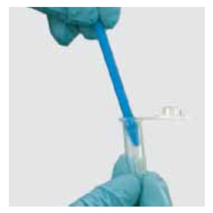 Axygen 1.5和2.0 mL无菌蓝色研杵，独立包装，100个/组，4组/箱
