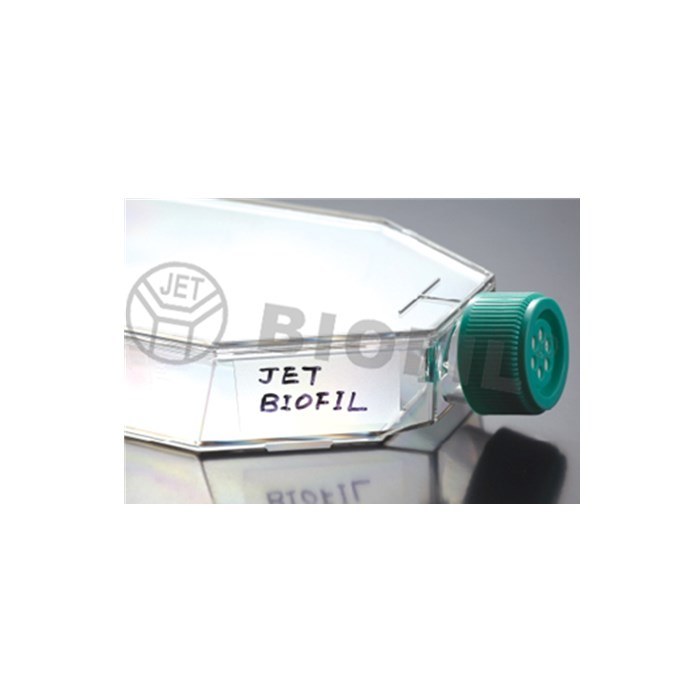 一次性细胞培养瓶 25cm2/50ml 表面处理 滤膜盖 爆款
