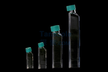 一次性细胞培养瓶75cm2/250ml 表面处理 普通盖
