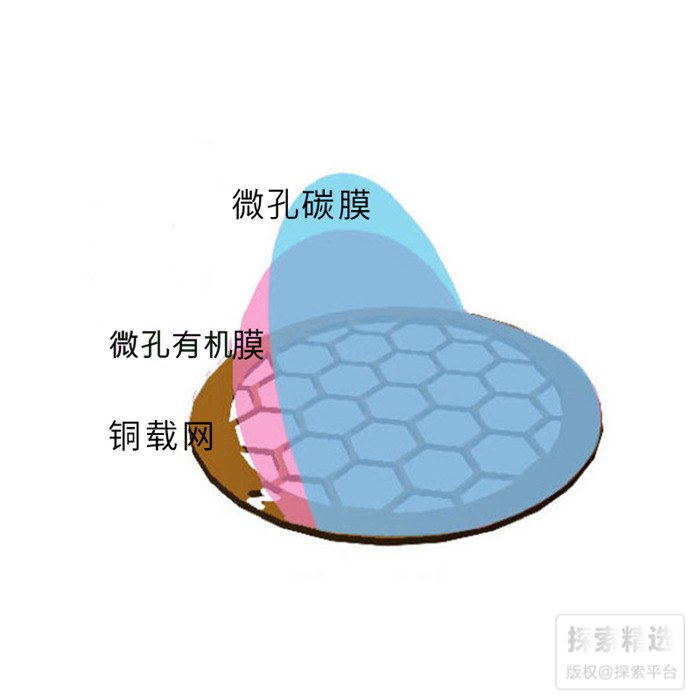 微栅铜网碳膜15-30NM 300目微栅孔径5&mu;m