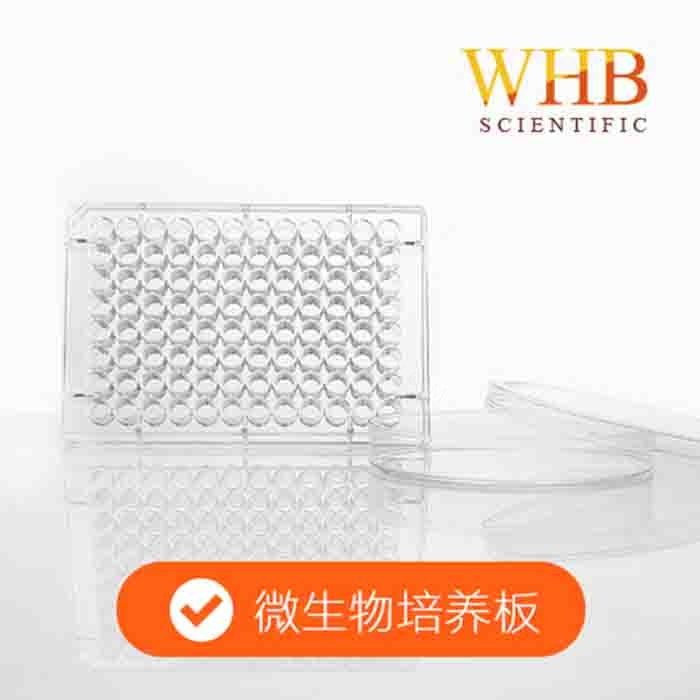 透明96孔培养板，袋装（酶标板、微生物培养板），灭菌 - 卧宏/WHB