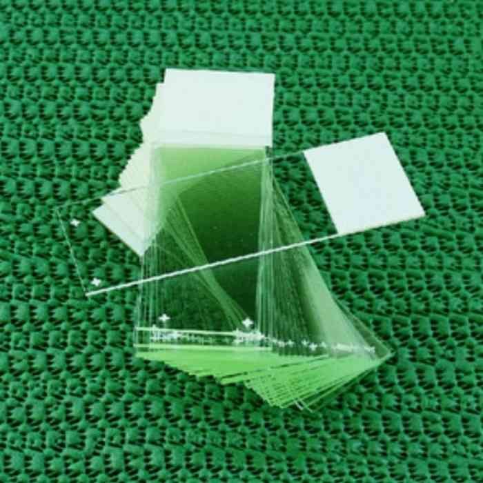 防脱载玻片 白色 长&times;宽&times;厚：75&times;25&times;1mm