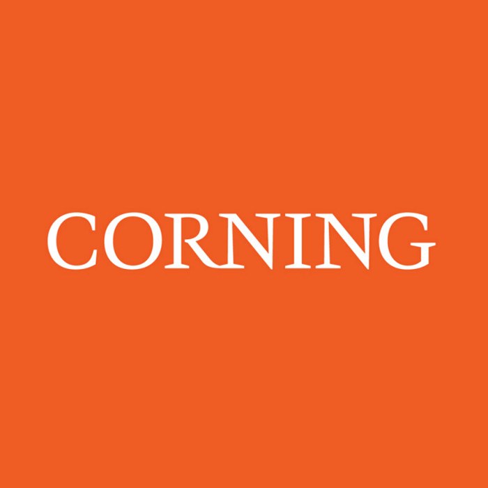 Corning Elplasia 6孔黑色/透明，方孔，电晕处理，微腔板，带盖 - Corning/康宁