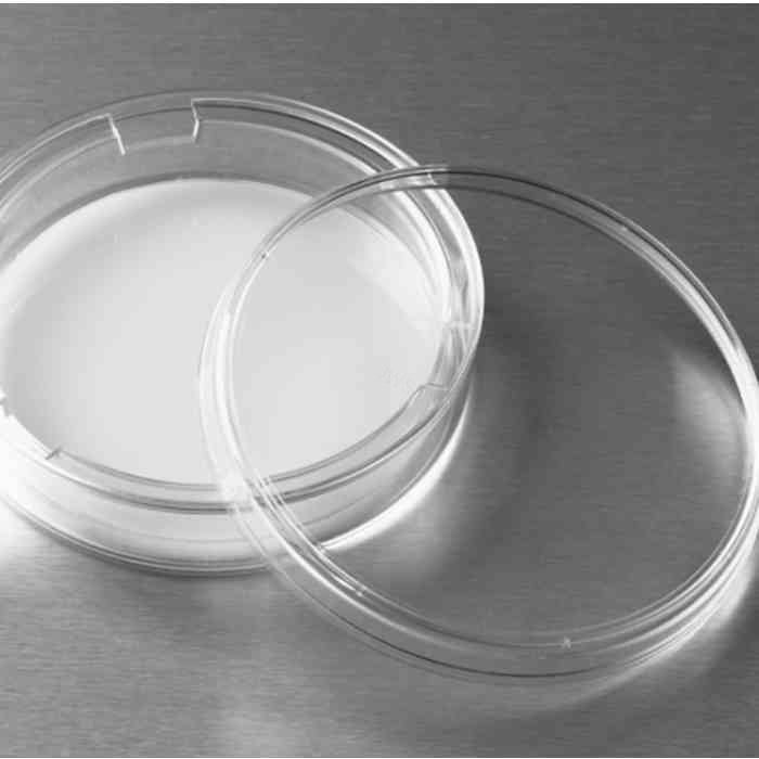 75 mm Transwell 0.4 &micro;m孔径聚碳酸酯膜小室，无菌