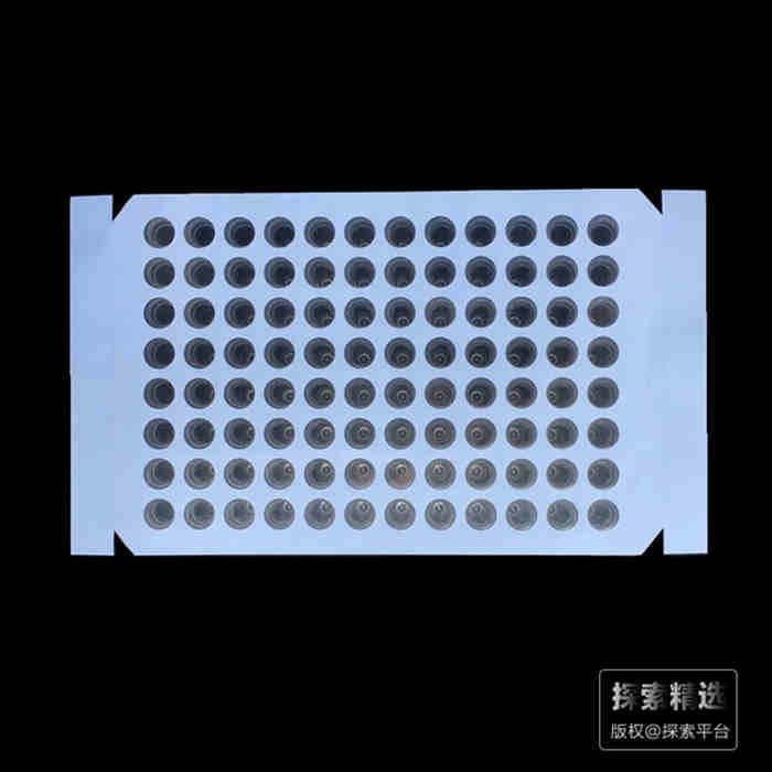 96孔高透光膜 适用温度：-20℃&mdash;+110℃