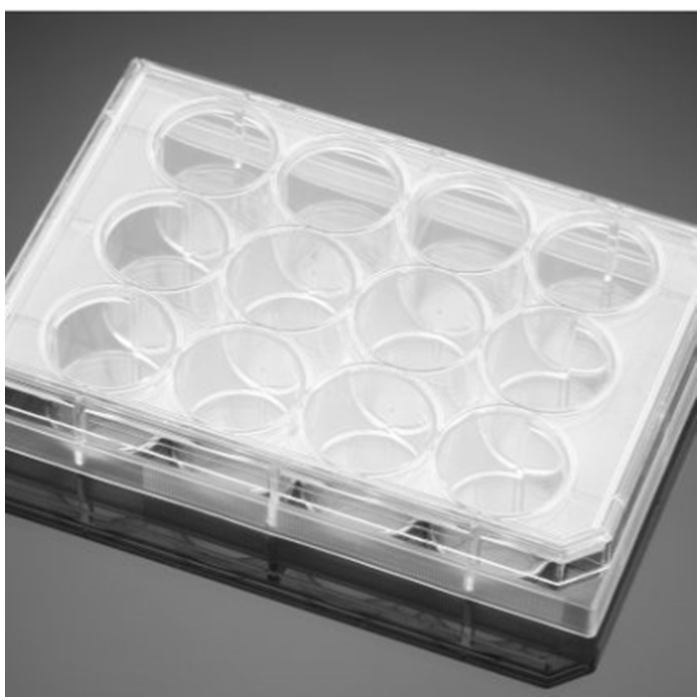 多聚-D-赖氨酸包被的12孔板Poly-D-Lysine 12 Well Clear Flat Bottom TC-Tr…