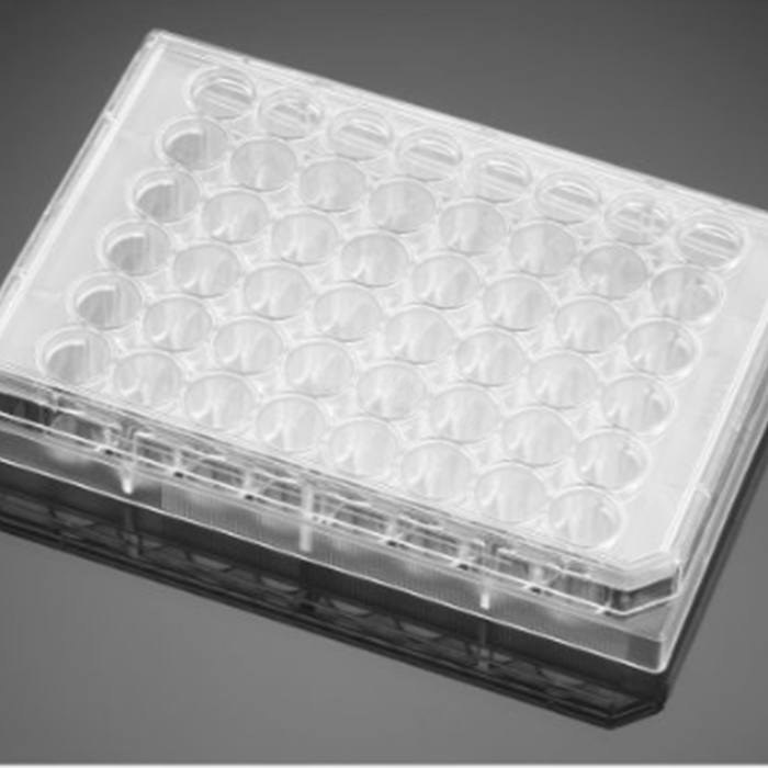 多聚-D-赖氨酸包被的48孔板Poly-D-Lysine 48 Well Clear Flat Bottom TC-Tr…
