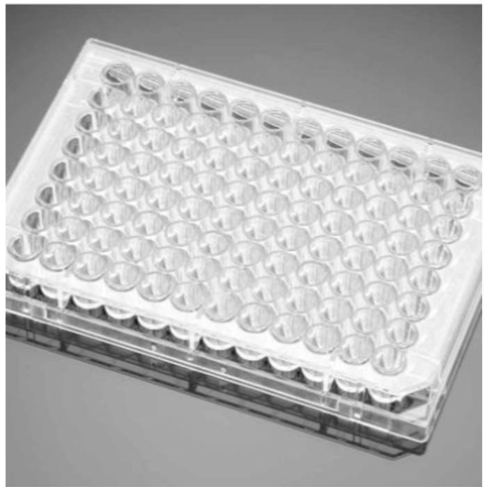 多聚-L-赖氨酸包被的96孔板Poly-L-Lysine 96 Well Clear TC-Treated Flat B…