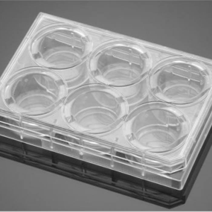 羧基包被的6孔板PureCoat 6 Well Carboxyl Plate