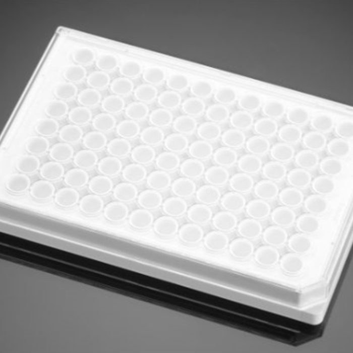 多聚-D-赖氨酸包被的96孔板Poly-D-Lysine 96 Well White/Opaque Flat Botto…