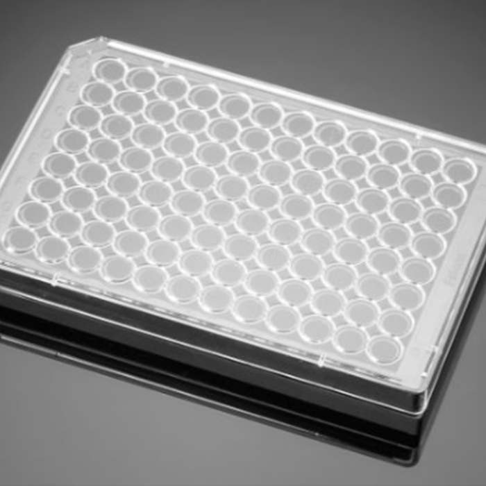 Ⅰ型胶原包被的96孔板Collagen I 96 Well Black/Clear Flat Bottom TC-Tre…