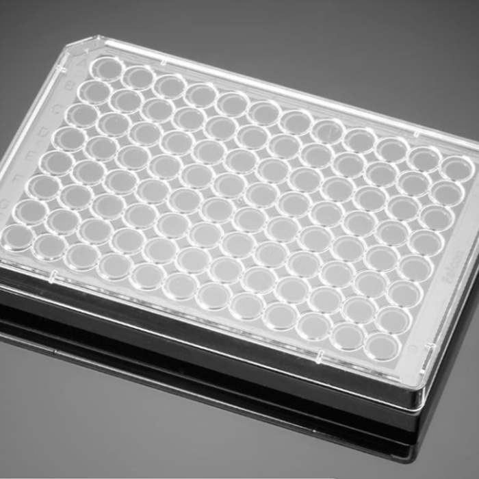 多聚-D-赖氨酸包被的96孔板Poly-D-Lysine 96 Well Black/Clear Flat Bottom…