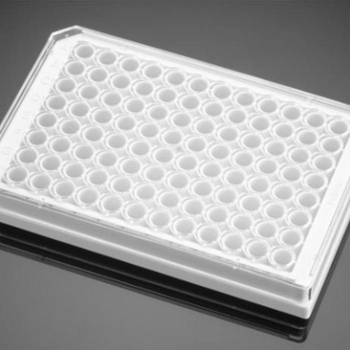 Ⅰ型胶原包被的96孔板Collagen I 96 Well White/Clear Flat Bottom TC-Tre…