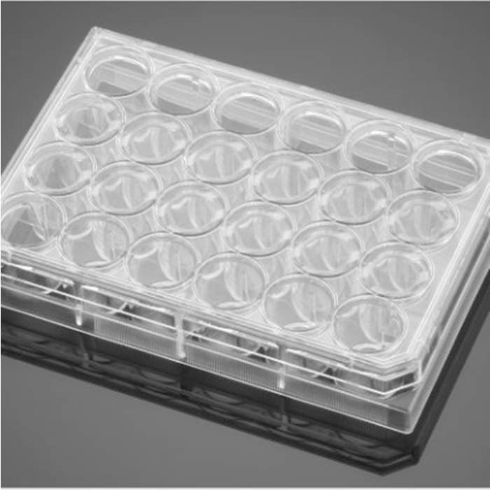 胺包被的24孔板Amine 24 Well Plate