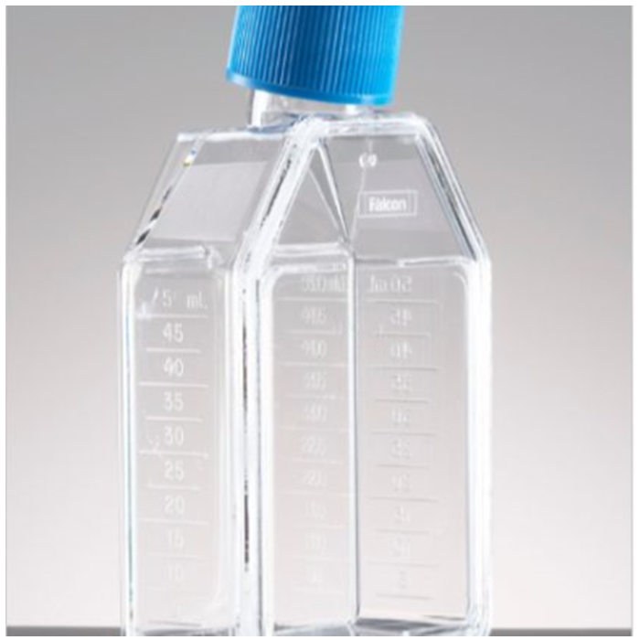 多聚-D-赖氨酸包被的培养瓶Poly-D-Lysine 25cm2 Rectangular Canted Neck Ce…