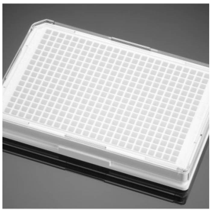 多聚-D-赖氨酸包被的384孔板Poly-D-Lysine 384 Well White/Clear Flat Bott…