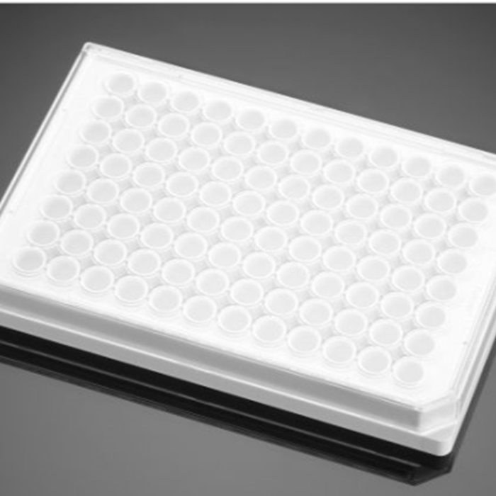 多聚-D-赖氨酸包被的384孔板Poly-D-Lysine 384 Well White Flat Bottom TC-…