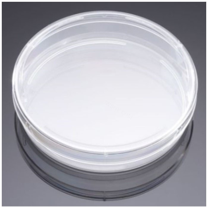胺包被的培养皿Amine 100mm Amine Dish - Biocoat