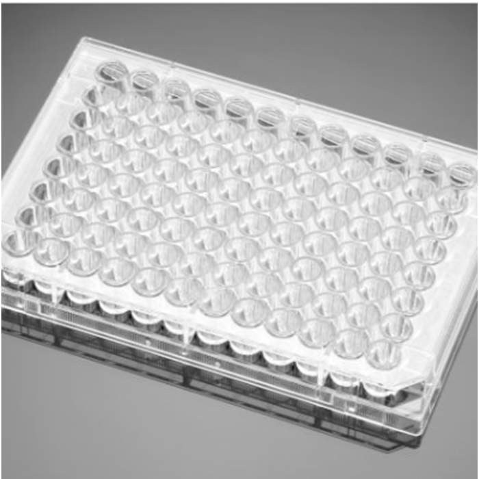 T细胞活化96孔板T-Cell Activation Control 96 Well Flat Bottom Assay…