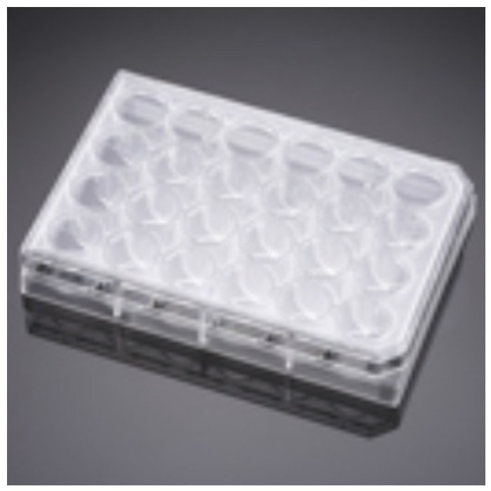 24孔板Falcon 24 Well Polystyrene Feeder Tray, with Lid, Steril…