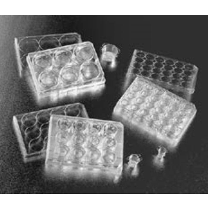 细胞培养小室对照 PET膜 膜直径6.4mm 膜孔径0.4um 配2块24孔板 未TC 无菌