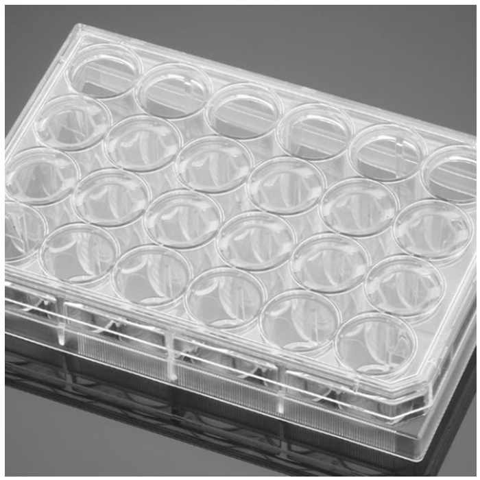 多聚-D-赖氨酸包被的24孔板Poly-D-Lysine 24 Well Clear Flat Bottom TC-Tr…